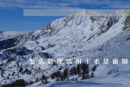 怎么管理信用卡老是逾期