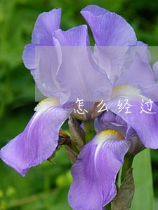 怎么经过法律途径与儿子断绝关系 怎么经过法律途径与儿子断绝关系