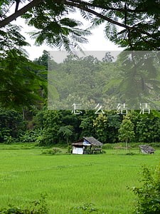 怎么结清逾期的网贷 怎么结清逾期的网贷