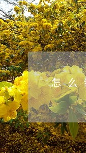怎么给信用卡逾期用户施压