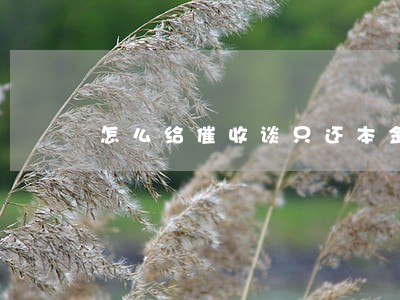 怎么给催收谈只还本金 怎么给催收谈只还本金