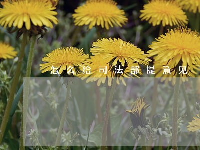 怎么给司法部提意见 怎么给司法部提意见