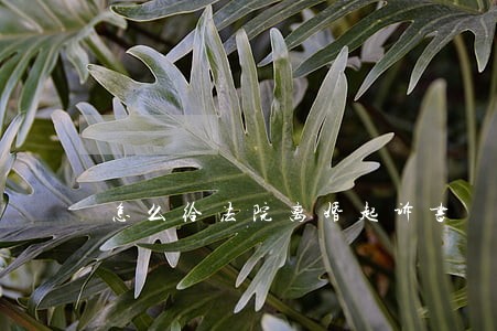怎么给法院离婚起诉书 怎么给法院离婚起诉书