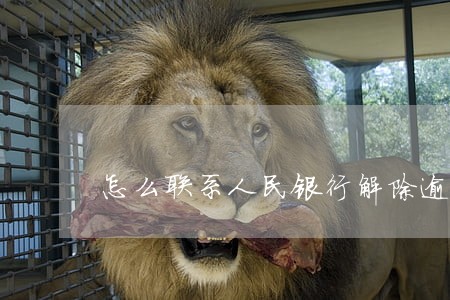 怎么联系人民银行解除逾期