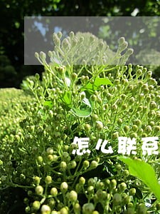 怎么联系银行协商逾期问题 怎么联系银行协商逾期问题