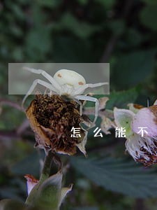 怎么能不让逾期信用卡划扣储蓄卡
