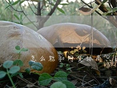 怎么能和网贷协商只还本金 怎么能和网贷协商只还本金