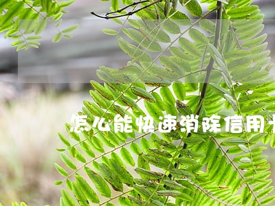 怎么能快速消除信用卡逾期 怎么能快速消除信用卡逾期