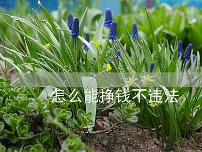 怎么能挣钱不违法 怎么能挣钱不违法