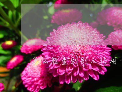 怎么能查到别人信用卡有逾期