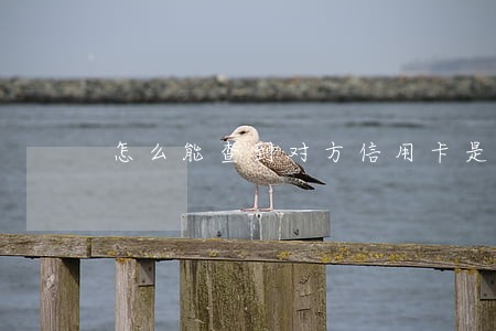怎么能查到对方信用卡是否逾期 怎么能查到对方信用卡是否逾期