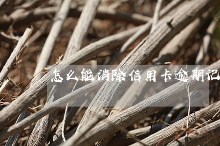 怎么能消除信用卡逾期记录 怎么能消除信用卡逾期记录