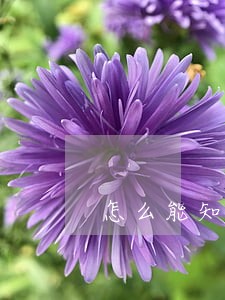 怎么能知道信用卡逾期 怎么能知道信用卡逾期