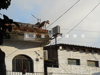 怎么能获得律师证 怎么能获得律师证