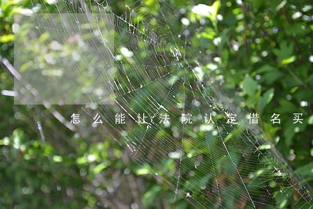 怎么能让法院认定借名买房协议