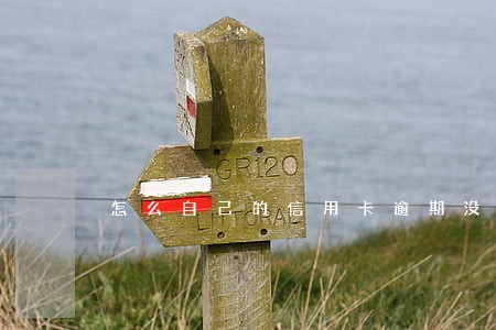 怎么自己的信用卡逾期没