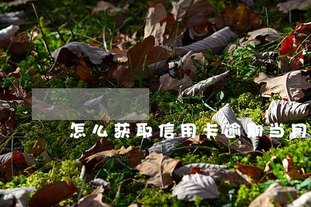 怎么获取信用卡逾期当月的账单 怎么获取信用卡逾期当月的账单