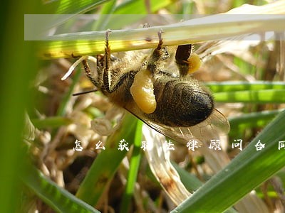 怎么获取法律顾问合同 怎么获取法律顾问合同