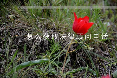 怎么获取法律顾问电话 怎么获取法律顾问电话