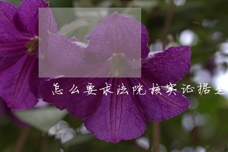 怎么要求法院核实证据是怎样的