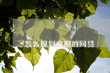 怎么规划逾期的网贷 怎么规划逾期的网贷