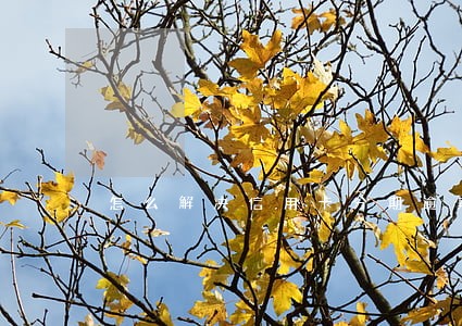 怎么解决信用卡分期逾期 怎么解决信用卡分期逾期