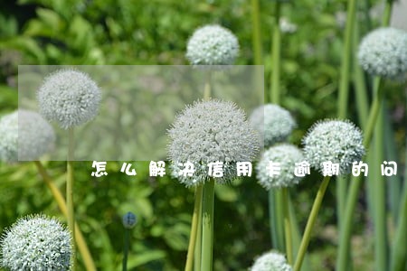 怎么解决信用卡逾期的问题
