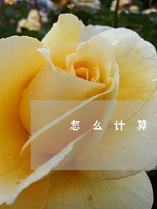 怎么计算个人借贷诉讼费