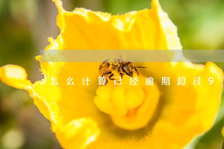 怎么计算已经逾期超过90天 怎么计算已经逾期超过90天