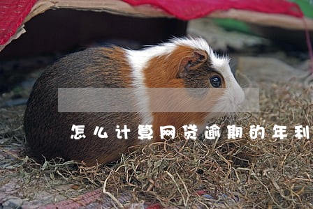 怎么计算网贷逾期的年利率 怎么计算网贷逾期的年利率