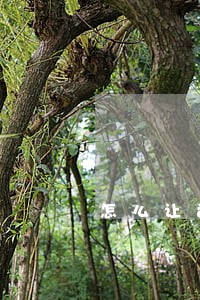 怎么让司法鉴定机构快点出报告 怎么让司法鉴定机构快点出报告
