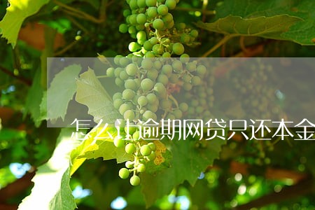 怎么让逾期网贷只还本金