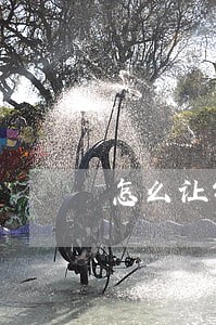 怎么让银行消除逾期 怎么让银行消除逾期