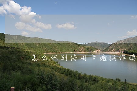 怎么识别信用卡逾期诈骗短信 怎么识别信用卡逾期诈骗短信