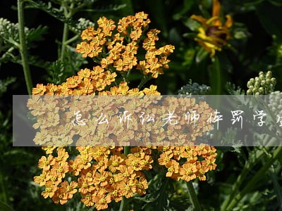 怎么诉讼老师体罚学生 怎么诉讼老师体罚学生