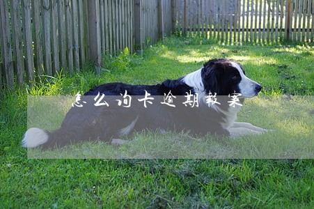 怎么询卡逾期报案