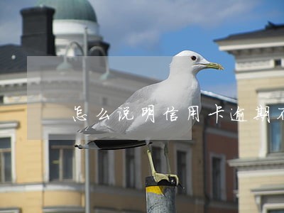 怎么说明信用卡逾期不是恶意的
