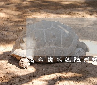 怎么请求法院判缓刑 怎么请求法院判缓刑