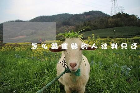 怎么跟催账的人谈判只还本金 怎么跟催账的人谈判只还本金