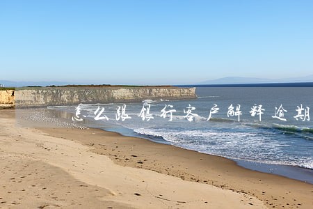 怎么跟银行客户解释逾期