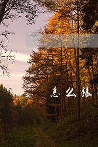 怎么跟银行提出逾期分期 怎么跟银行提出逾期分期