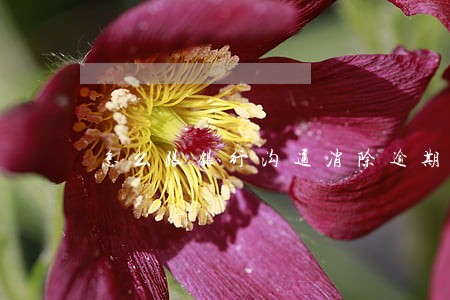 怎么跟银行沟通消除逾期了 怎么跟银行沟通消除逾期了