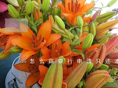 怎么跟银行申请只还本金 怎么跟银行申请只还本金
