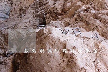 怎么跟银行说只还本金 怎么跟银行说只还本金