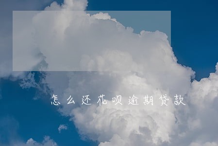 怎么还花呗逾期贷款