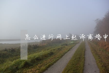 怎么进行网上起诉离婚申请 怎么进行网上起诉离婚申请