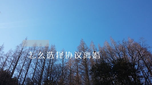 怎么选择协议离婚 怎么选择协议离婚