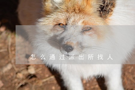 怎么通过派出所找人