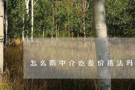 怎么防中介吃差价违法吗 怎么防中介吃差价违法吗