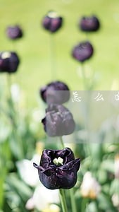 怎么面对网贷与信用卡逾期 怎么面对网贷与信用卡逾期